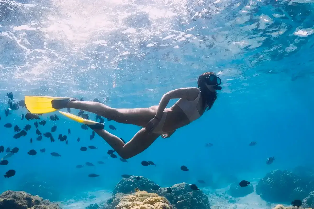 Snorkeling randonnée palmée masque tuba famille Aqualonde