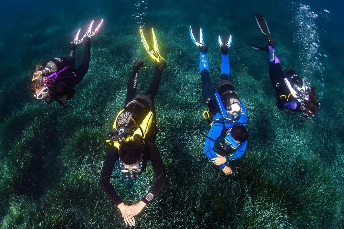Aqualonde Experience