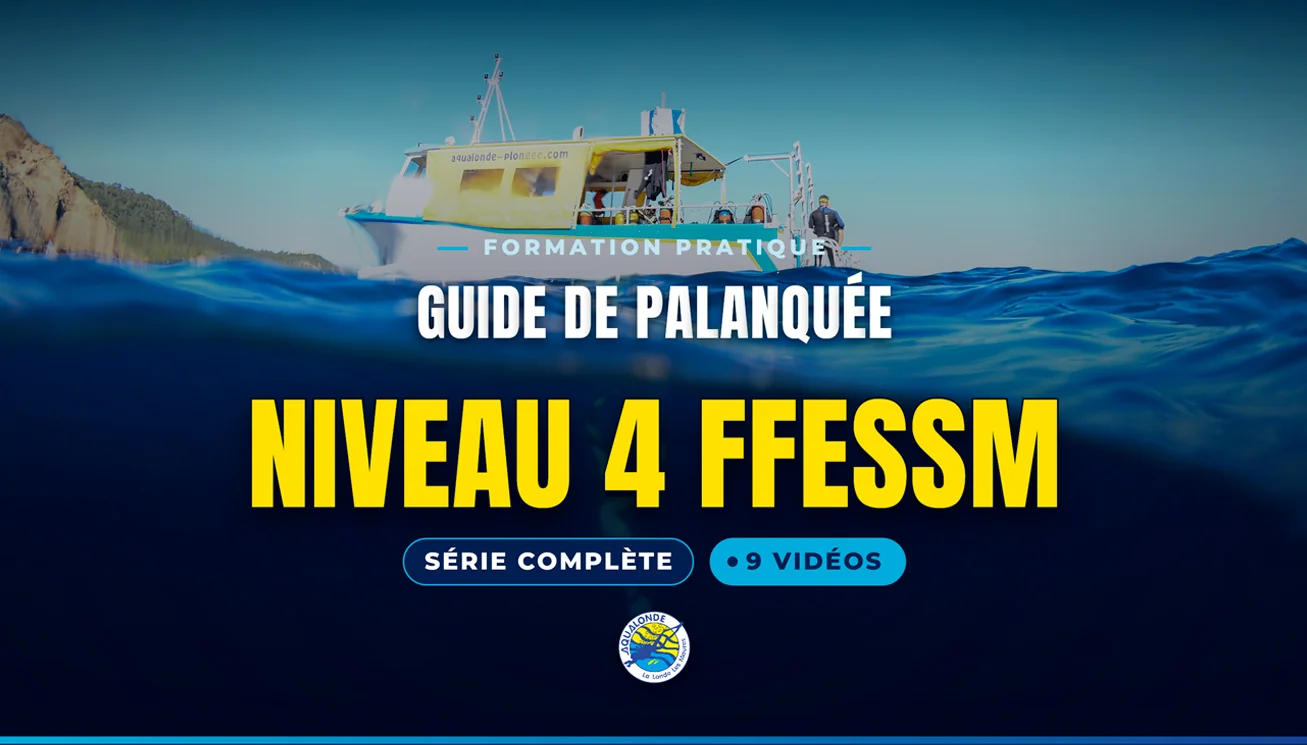 Découvrez l'e-learning pratique d'Aqualonde Plongée — des vidéos pédagogiques tournées sous l'eau.