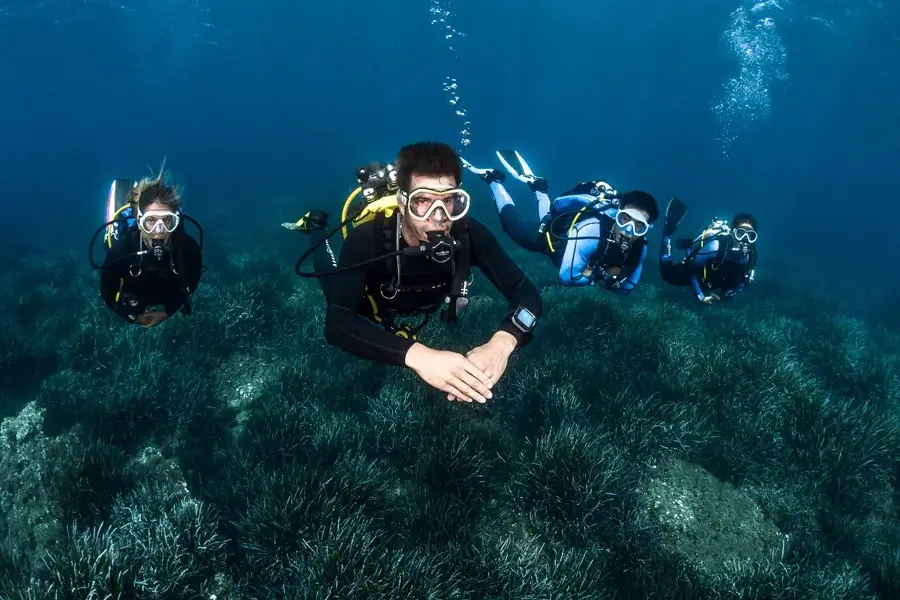 Cursus Go Pro 15 mois moniteur de plongée Aqualonde