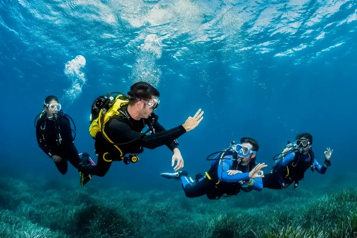 Formation pro plongée Divemaster Instructor PADI