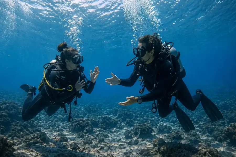 Compétences acquises Rescue Diver PADI Aqualonde
