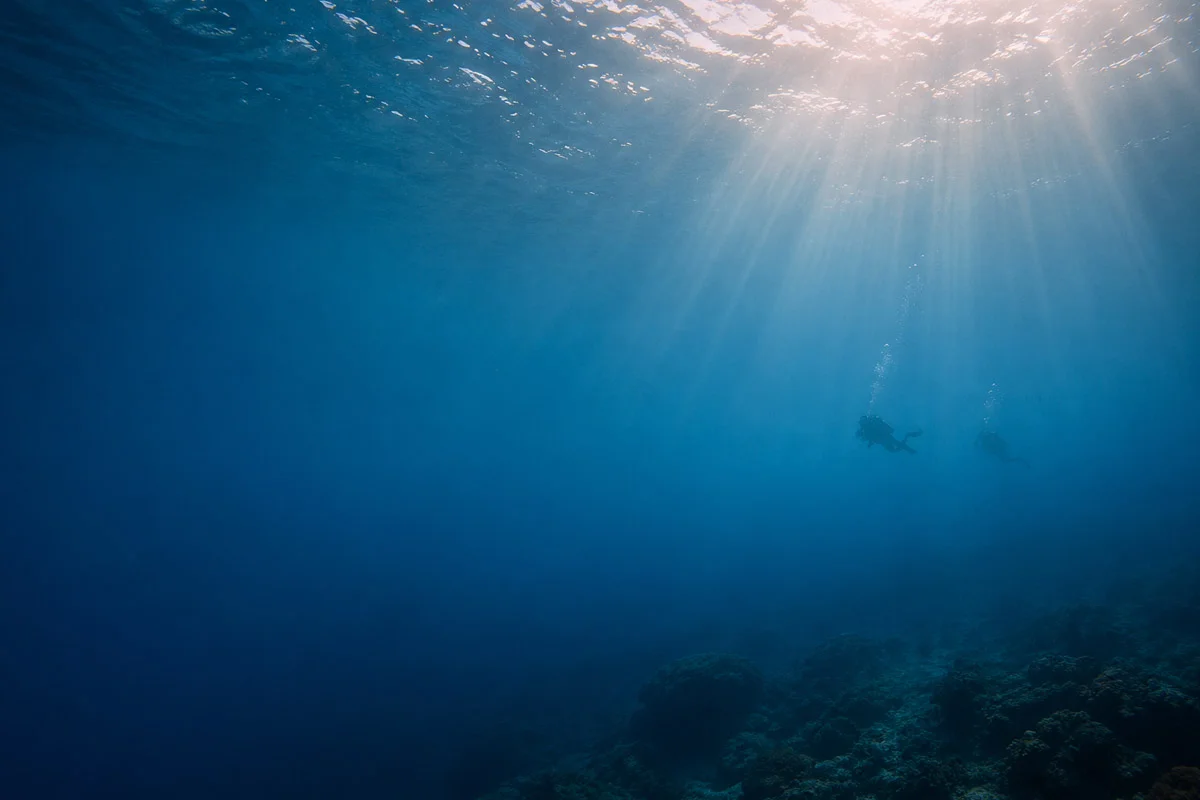 Spécialités PADI Nitrox Flottabilité Deep Diver