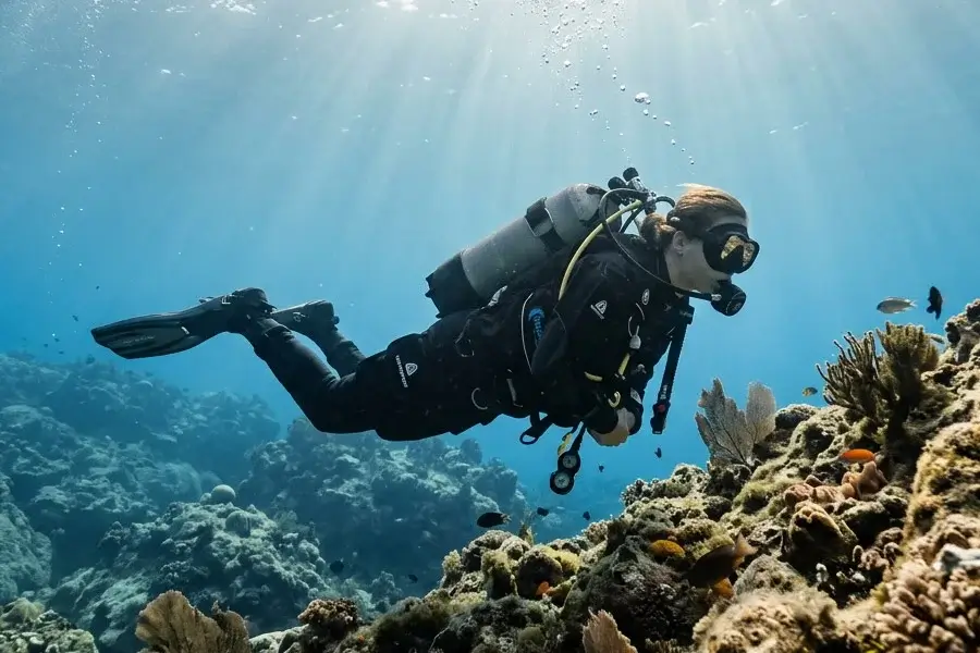 Compétences acquises Dry Suit PADI Aqualonde