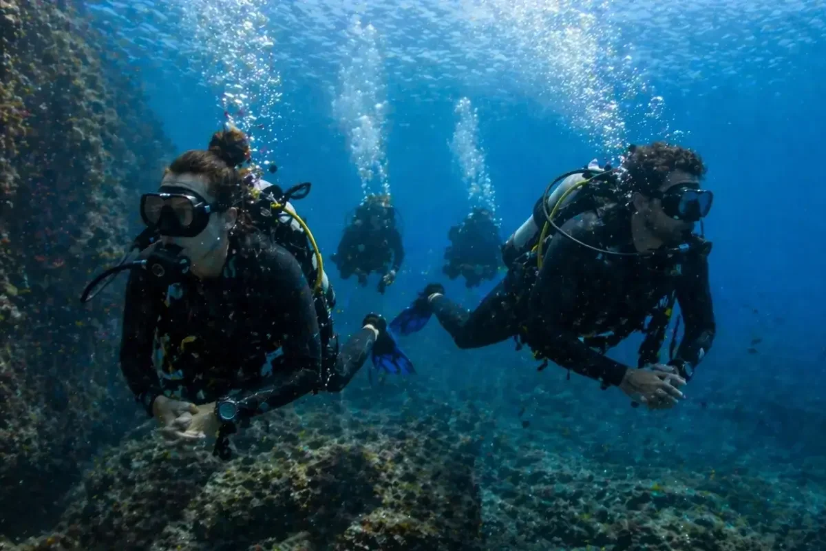Journée entière exploration deux plongées repas île