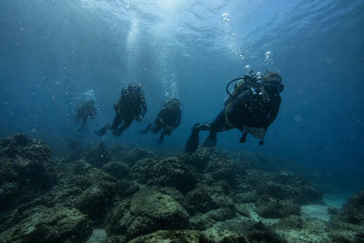 Plongée crépusculaire ou à l'aube en Méditerranée