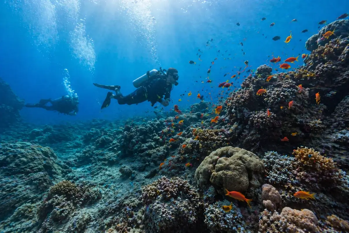 Plongeurs en exploration sous-marine
