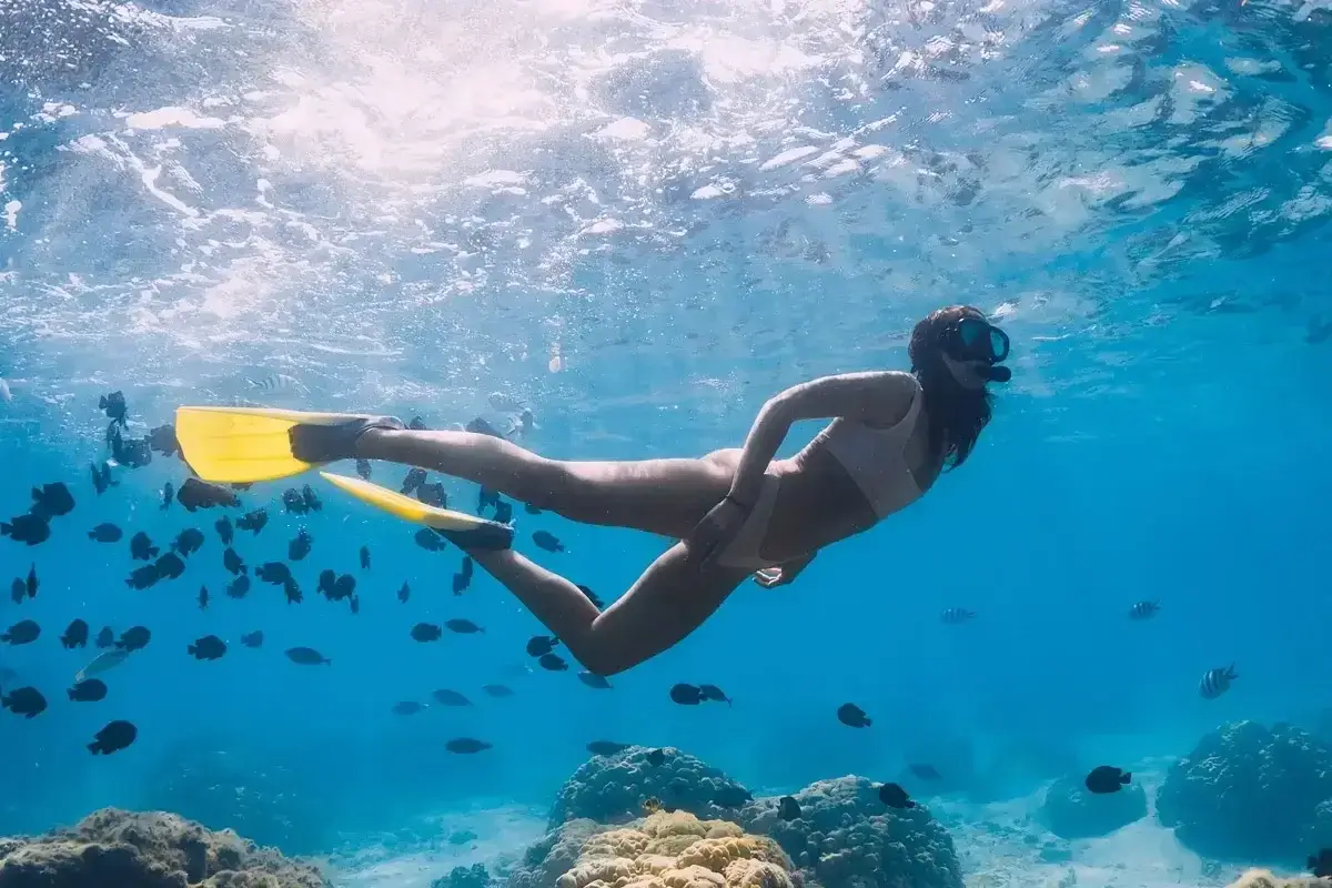 Snorkeling randonnée palmée masque tuba Aqualonde