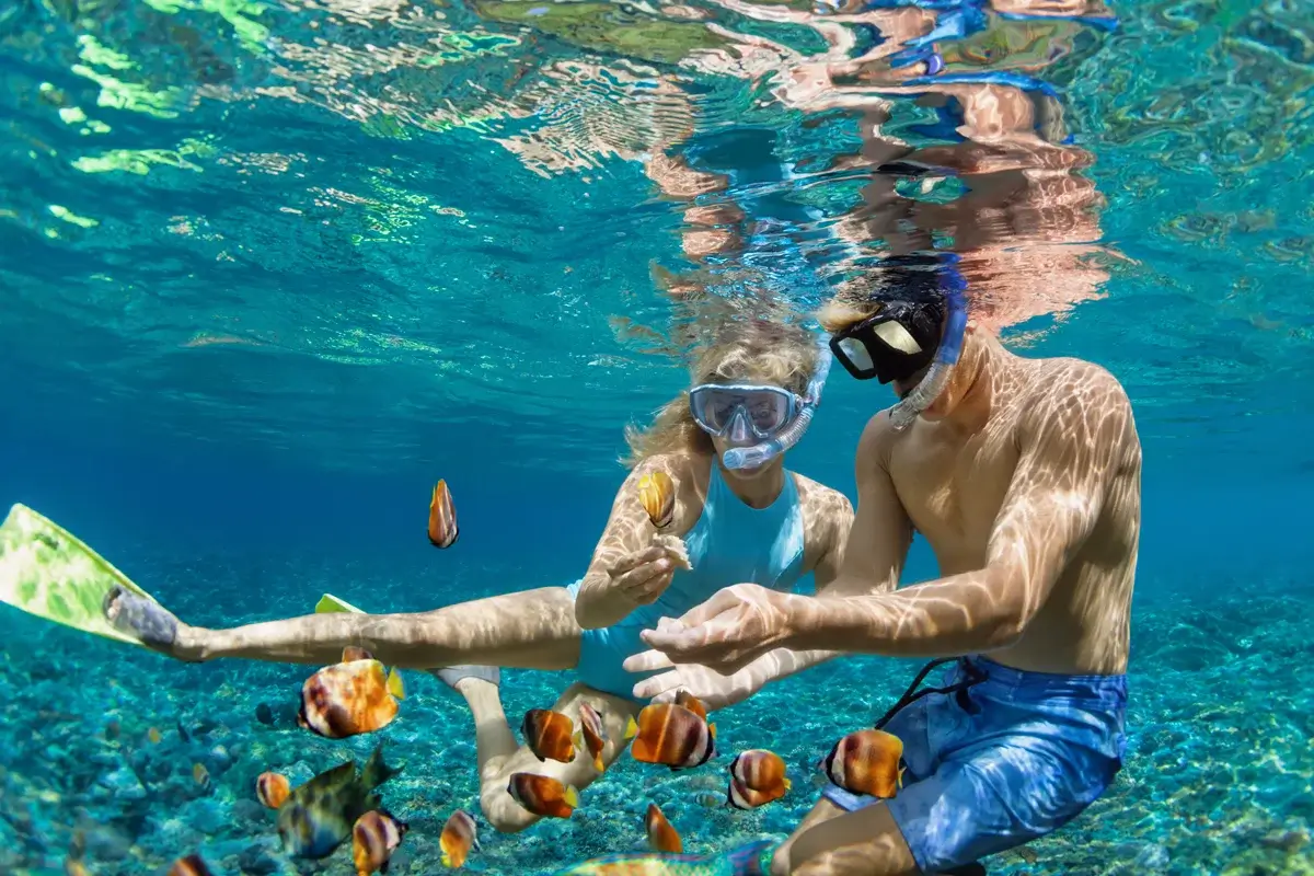 Randonnée palmée snorkeling en Méditerranée