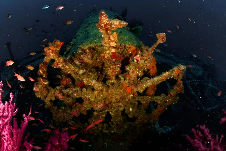 Épave du Donator cargo Porquerolles Méditerranée