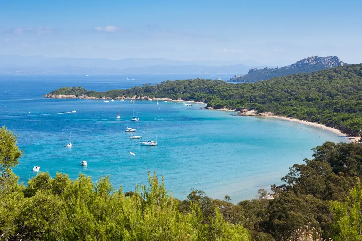 Île de Porquerolles plongée épaves Donator Grec fond marin