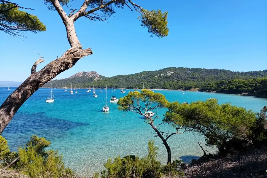 Île de Porquerolles vue aérienne eau turquoise plage