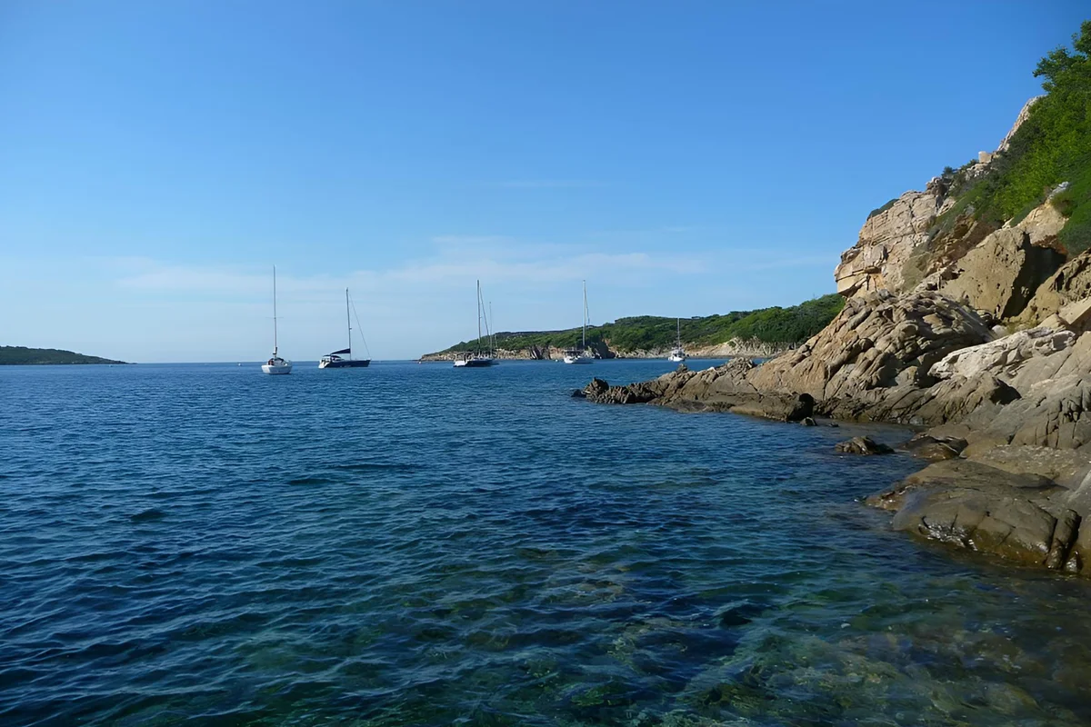 Dalles de Bagaud Oeil de Bagaud nacres géantes posidonie
