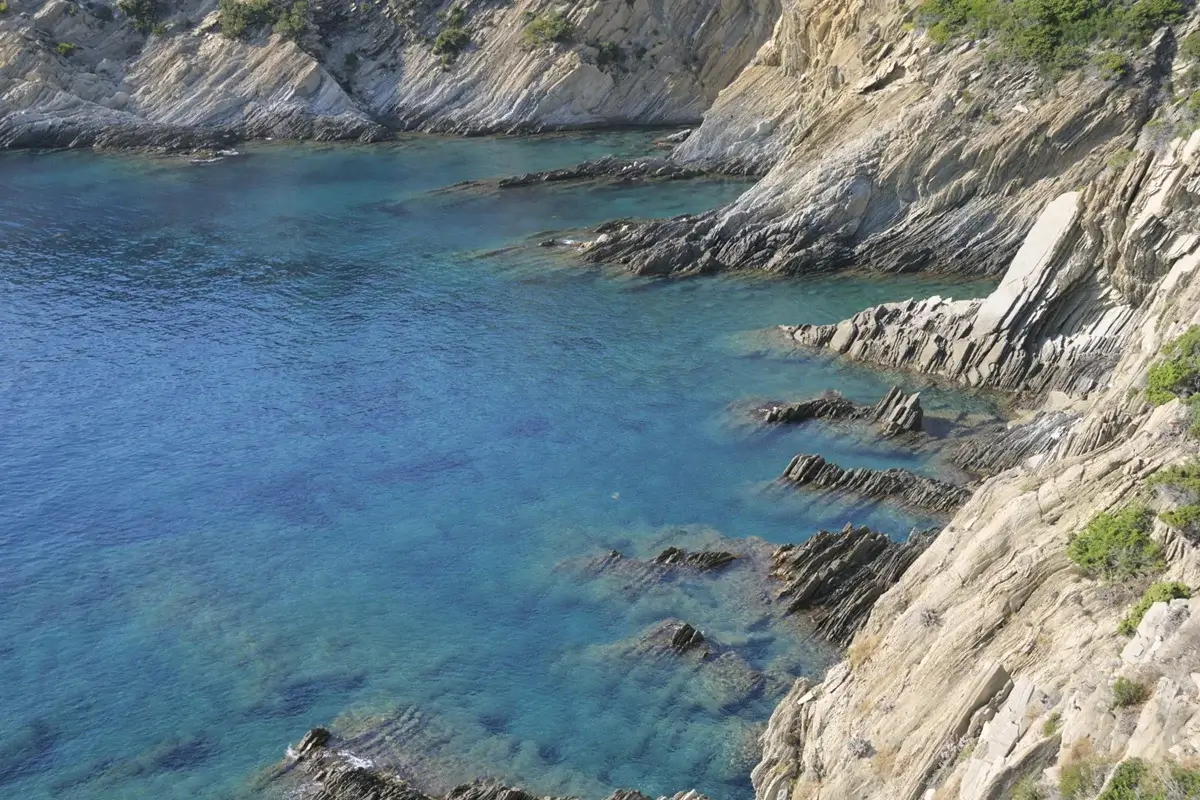 Pointe de la Croix Port-Cros gorgones blanches mérous éboulis