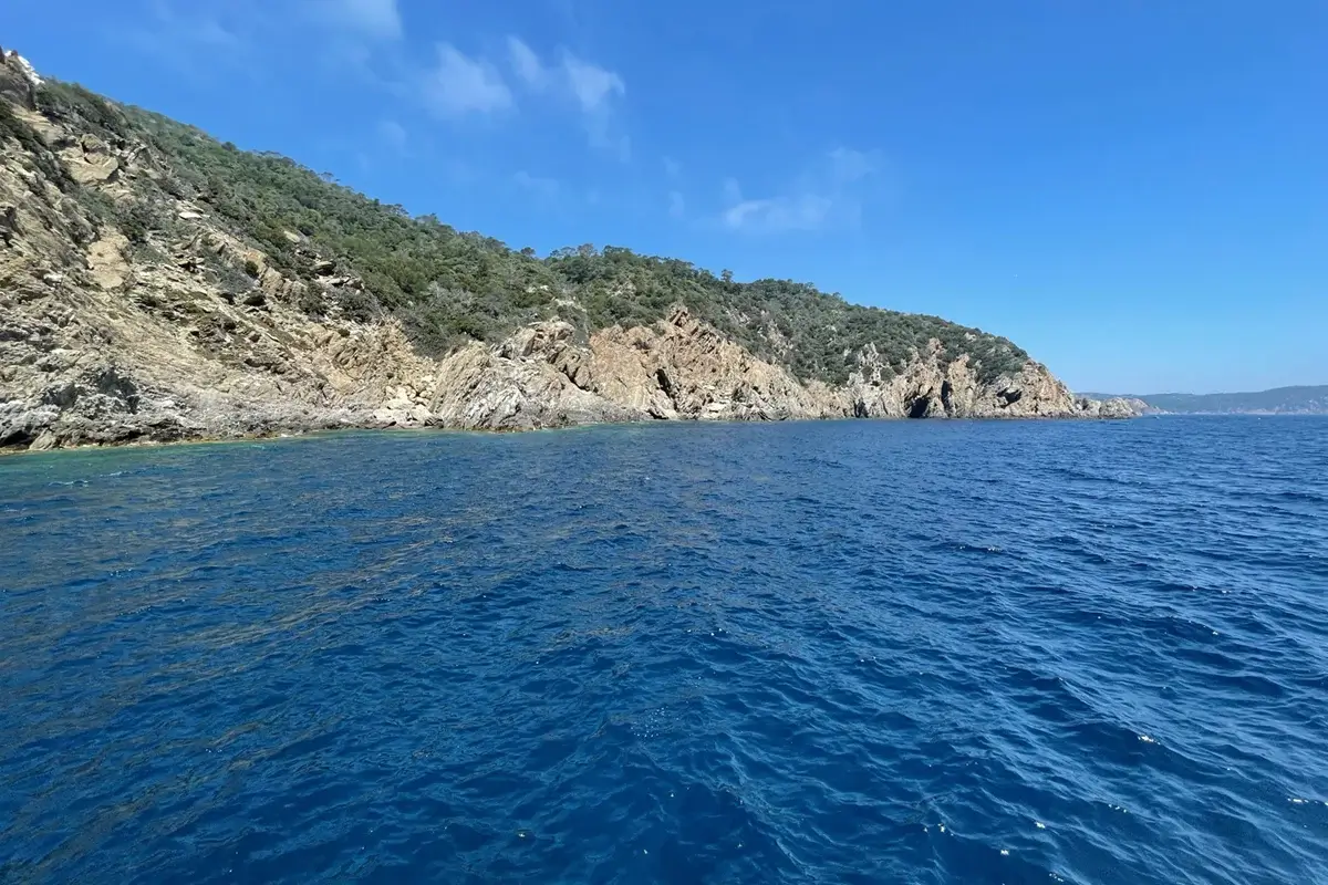 Pointe du Vaisseau Port-Cros mérous roussettes peu courant