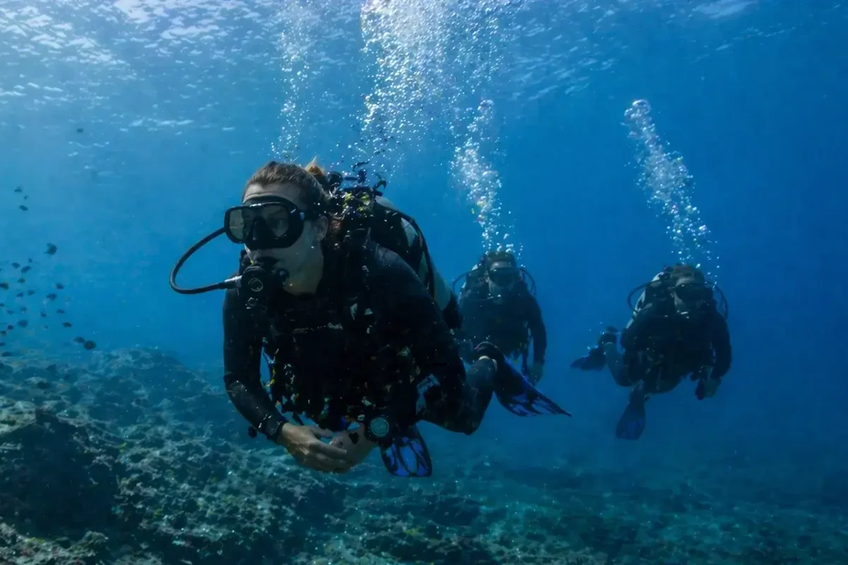 Plonger avec Aqualonde — sorties exploration baptêmes