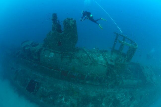 _NIC3109 rubis rubis