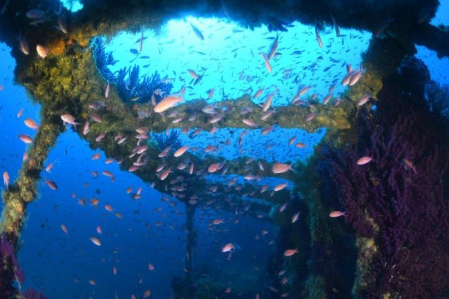 Nicolas Barraque – Le Greg – Subea – Juin 2018 – DSC_0618