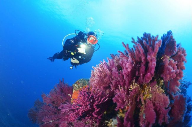 Nicolas Barraqué – Beuchat – Les Medes – Avril 2017 – DSC_2906