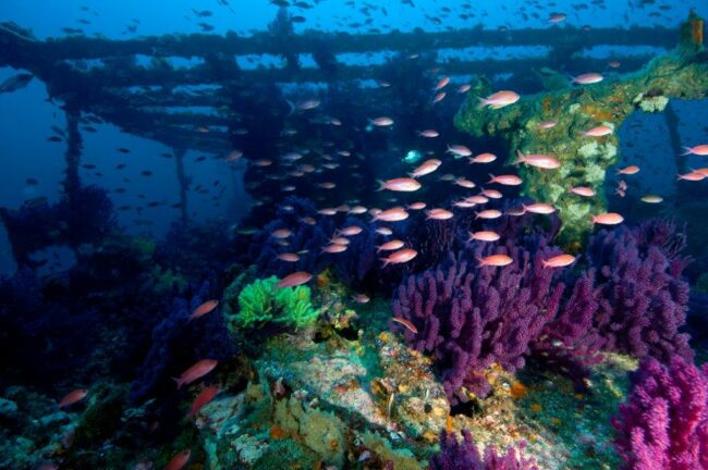 grec,_ambiance_D3012