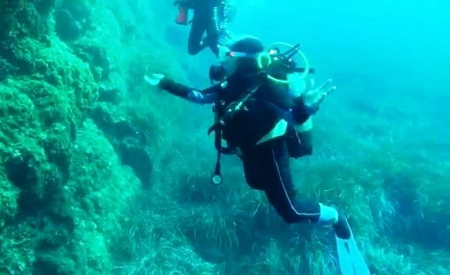 dalles Dalles Bagaud