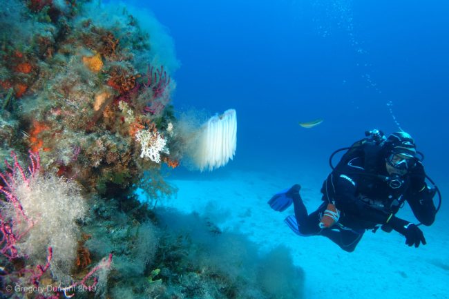 Advanced Open water padi