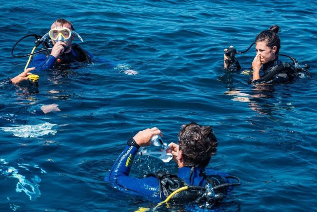 aqualonde-plongee-var