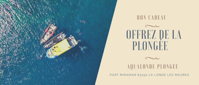 bon cadeau aqualonde