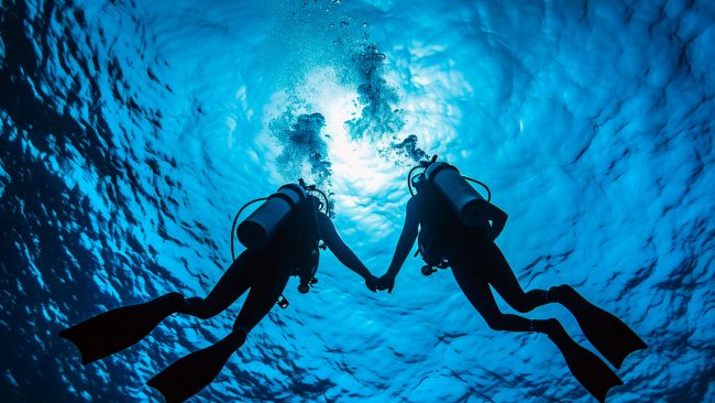 Accompagnement par une équipe professionnelle pour vos plongées la londe les maures Accompagnement par une équipe professionnelle pour vos plongées la londe les maures