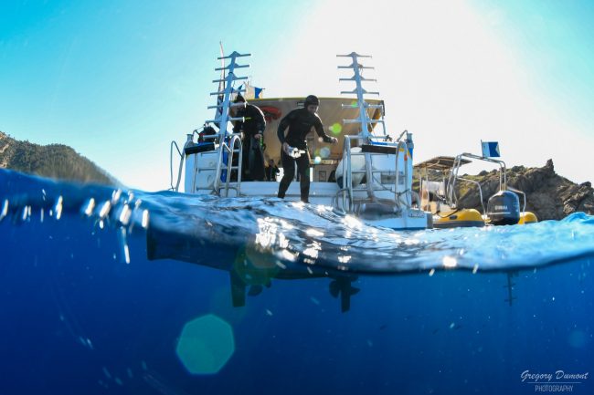 bateau plongée port cros bateau plongée port cros