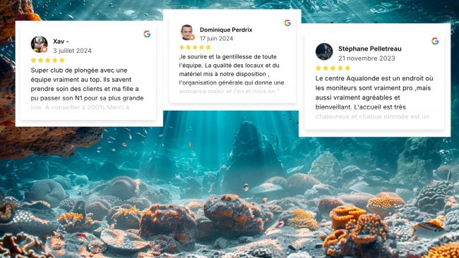 Témoignages des plongeurs satisfaits Plongez dans les eaux cristallines de La Londe-les-Maures Témoignages des plongeurs satisfaits Plongez dans les eaux cristallines de La Londe-les-Maures