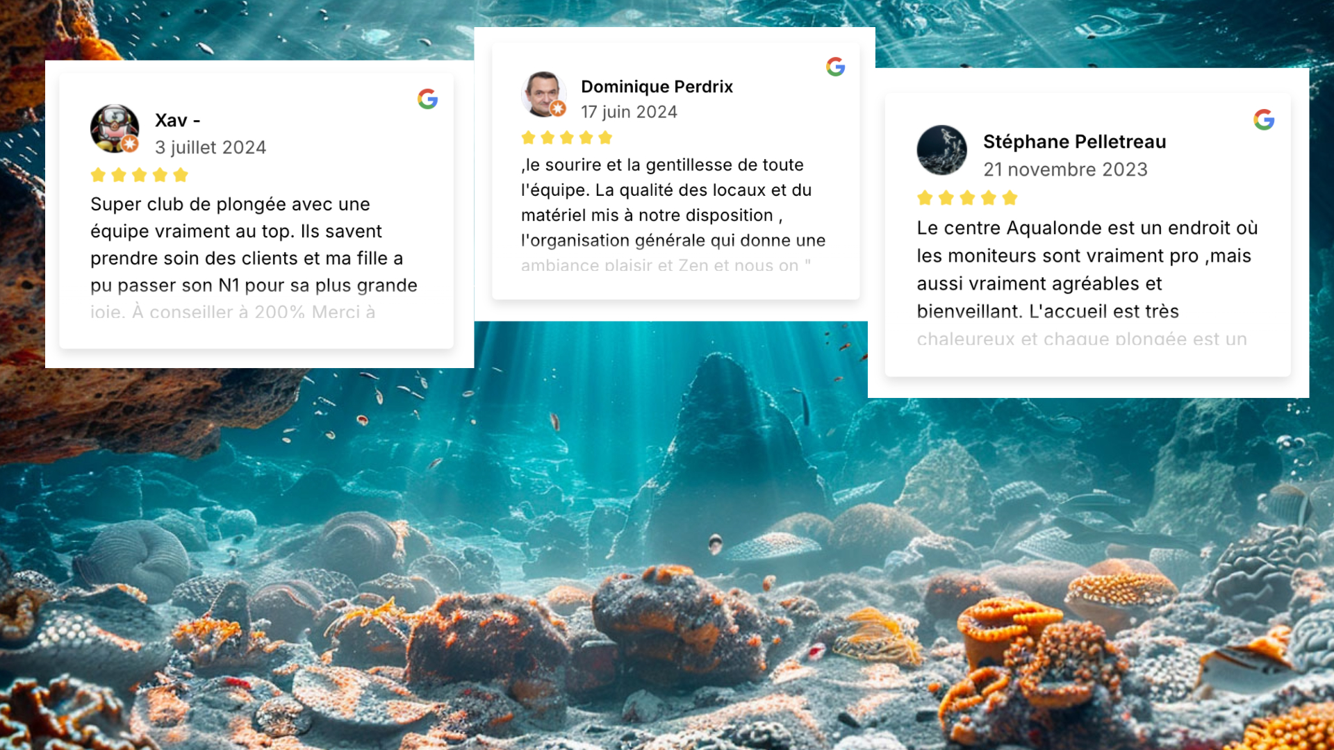 Témoignages des plongeurs satisfaits Plongez dans les eaux cristallines de La Londe-les-Maures Témoignages des plongeurs satisfaits Plongez dans les eaux cristallines de La Londe-les-Maures