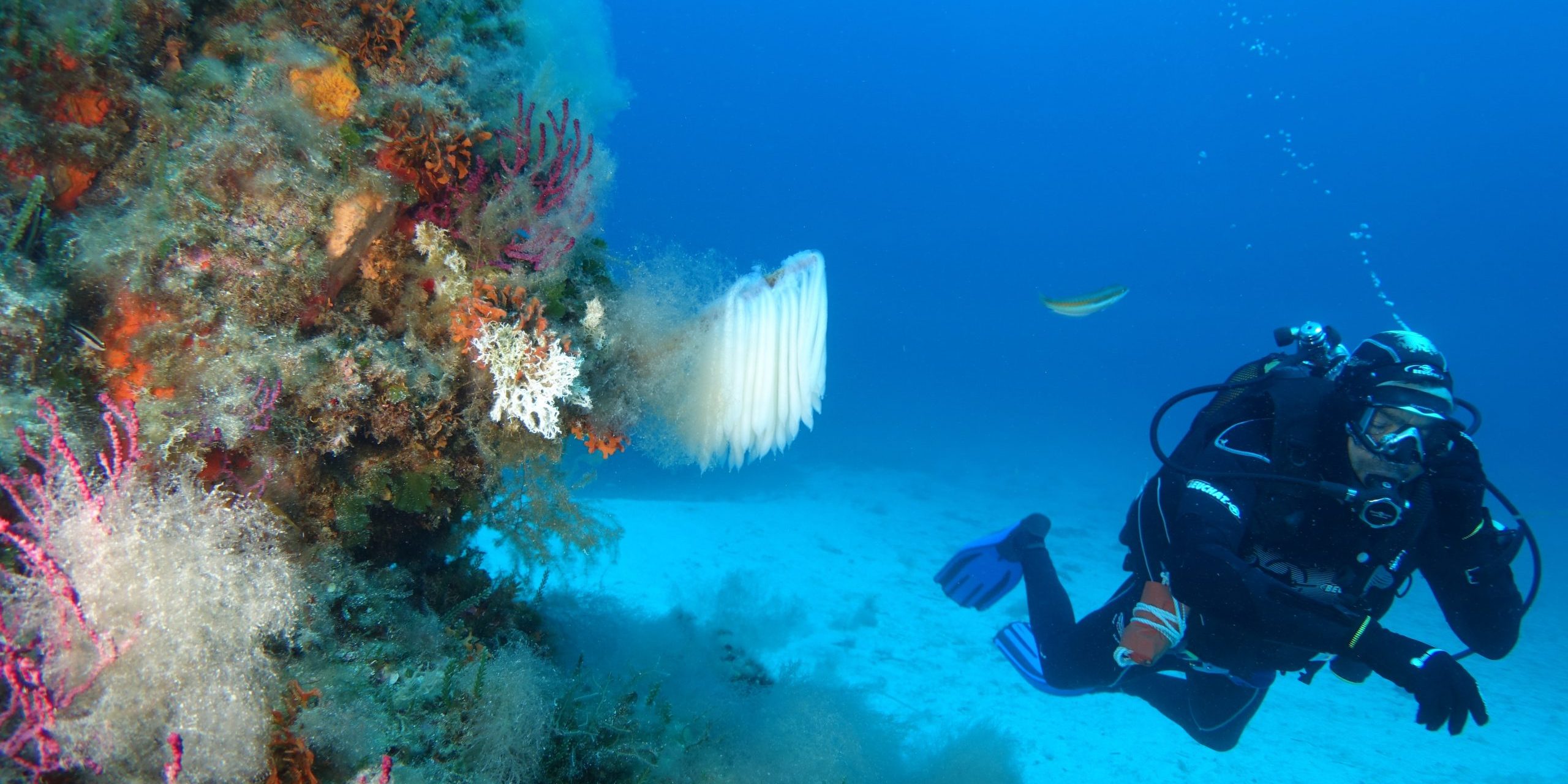 catalogue plongée aqualonde