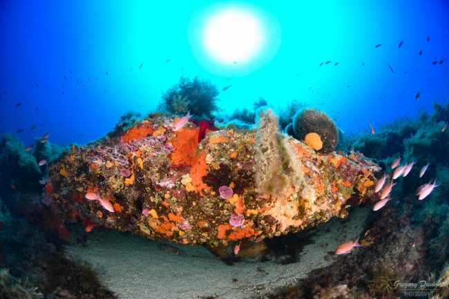 Ramenez chez vous des souvenirs inestimables de notre catalogue de plongées ! Sites de plongée incontournables : Hyères