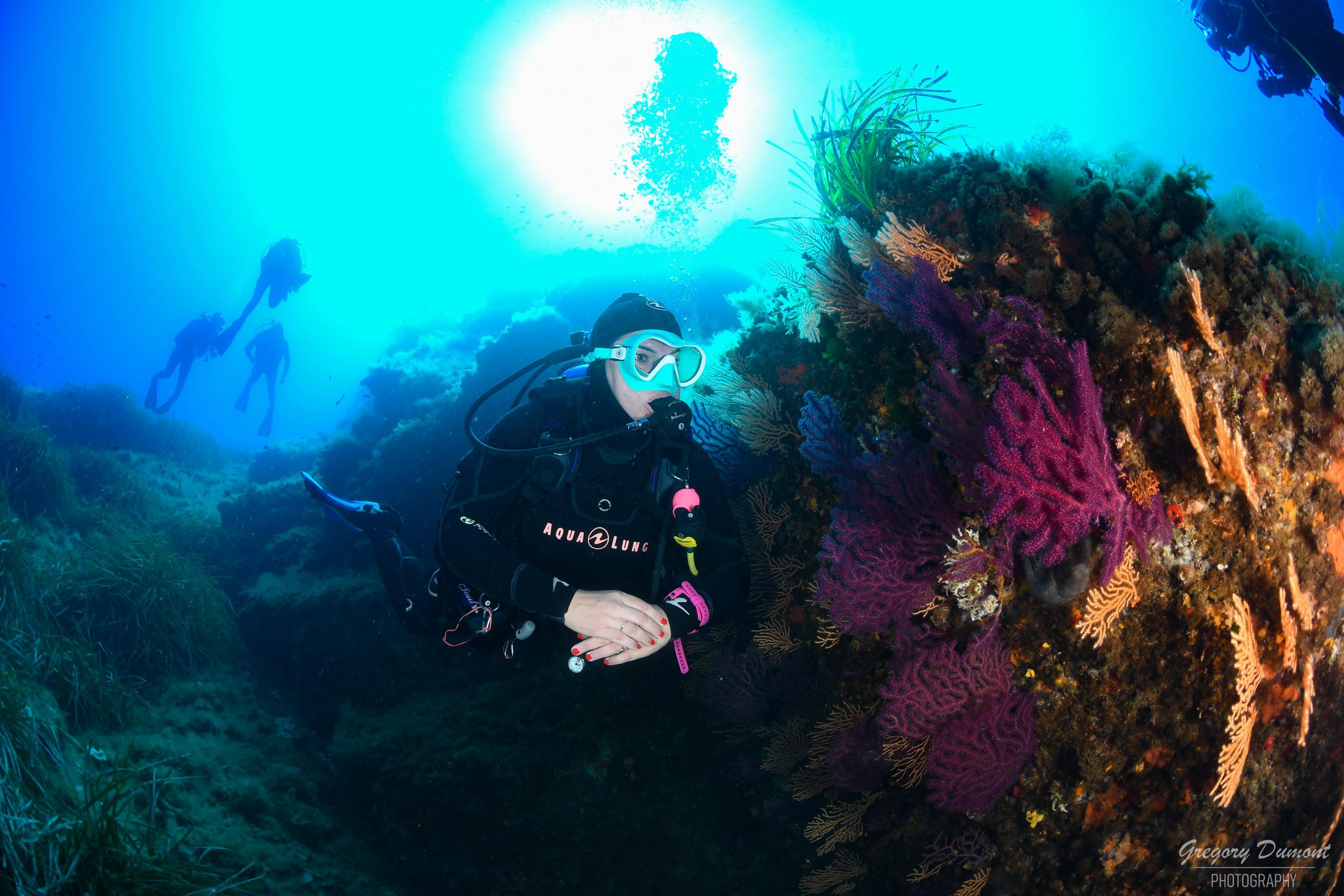 Découvrez notre catalogue de plongées et plongez dans l'inconnu avec nous ! ‍♀ Sites de plongée incontournables : Hyères