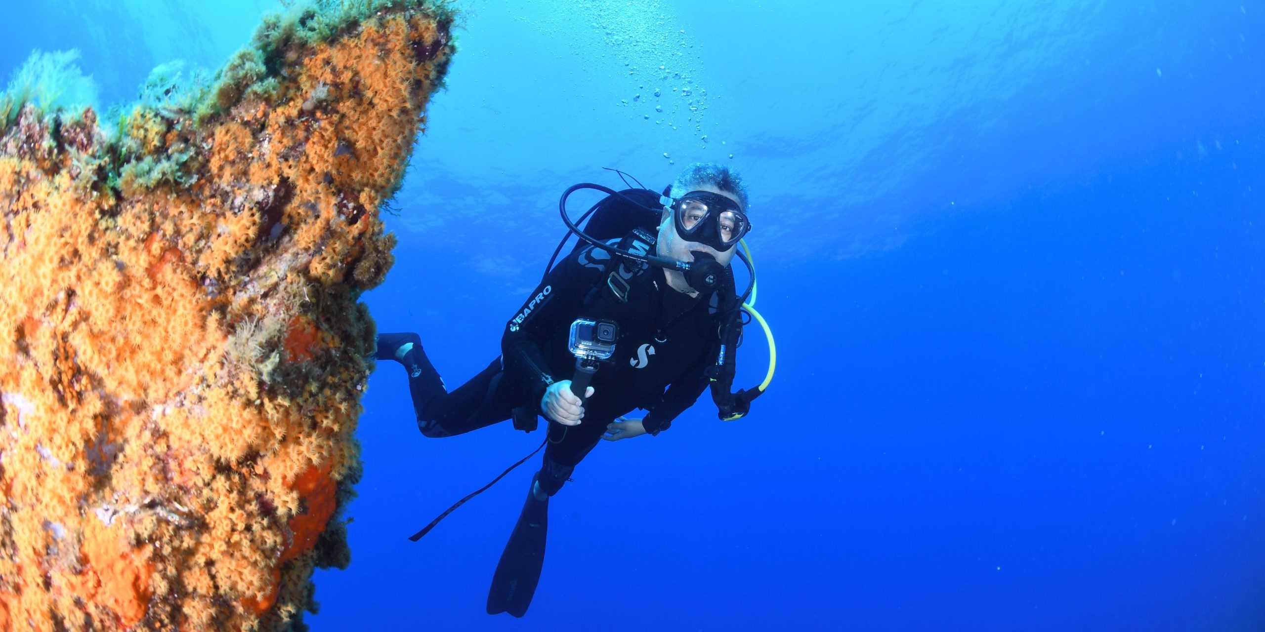 Explorez notre catalogue de plongées et vivez l’incroyable !