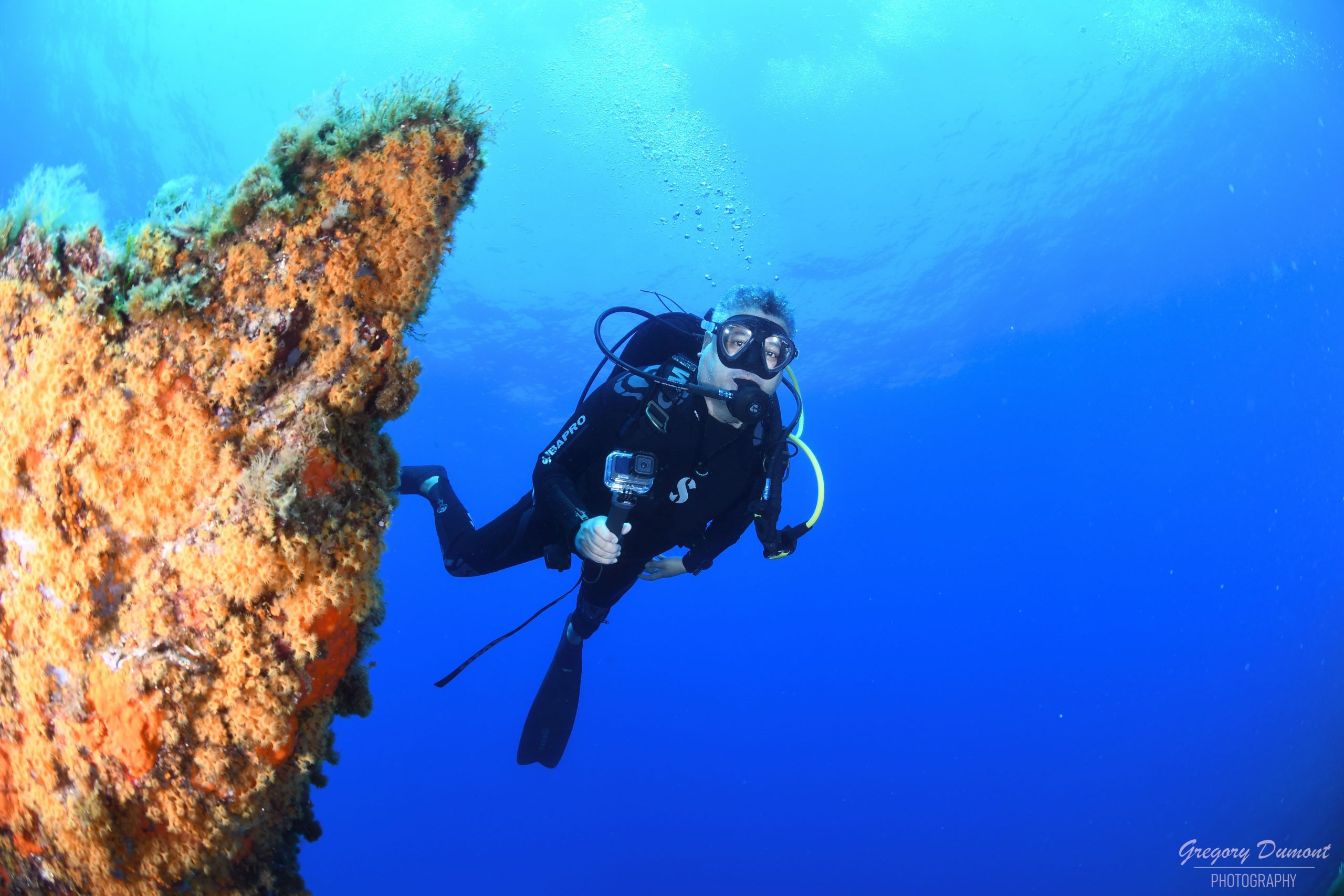 Explorez notre catalogue de plongées et vivez l’incroyable !