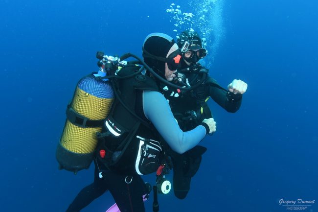 Explorez notre catalogue de plongées et vivez l’incroyable ! Sites de plongée incontournables : Hyères