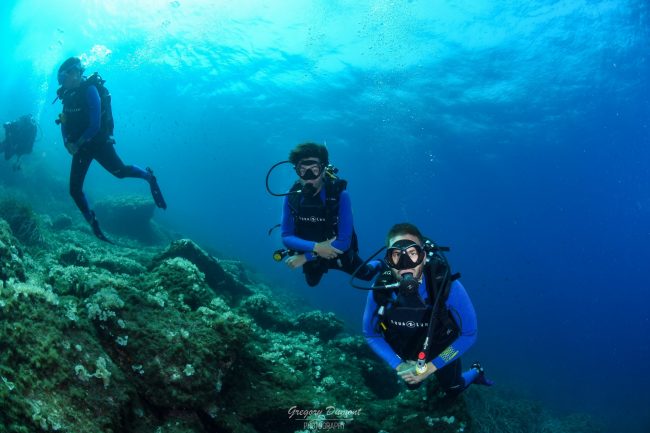 Connectez-vous avec la nature en plongeant à Porquerolles ! Sites de plongée incontournables : Hyères