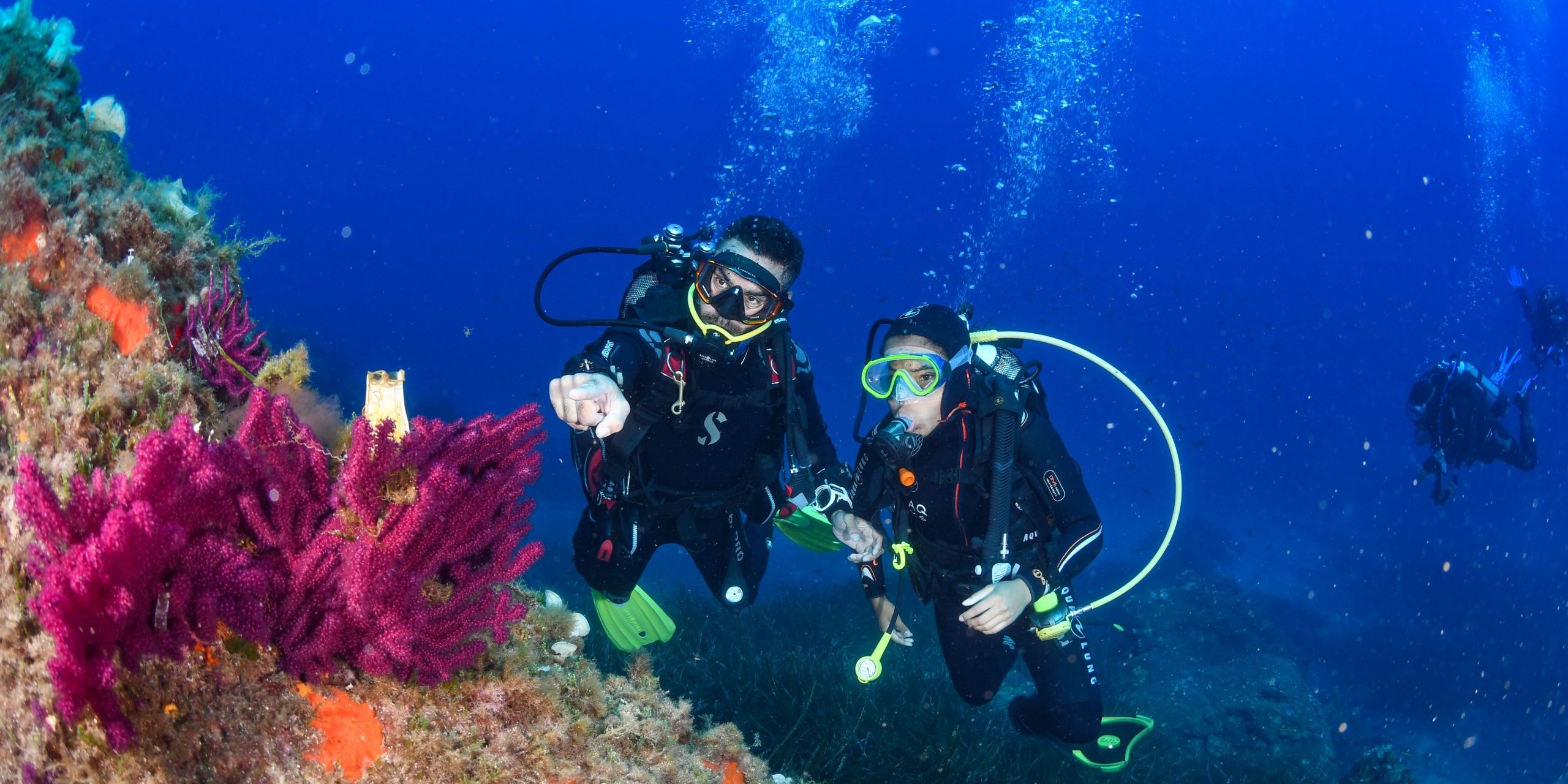 Sites de plongée incontournables : Hyères Explorez notre catalogue de plongées et vivez l’incroyable ! Sites de plongée incontournables : Hyères