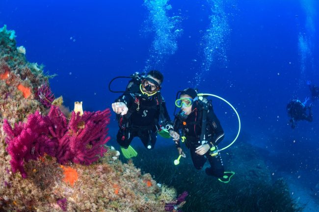 Explorez notre catalogue de plongées et vivez l’incroyable ! Sites de plongée incontournables : Hyères