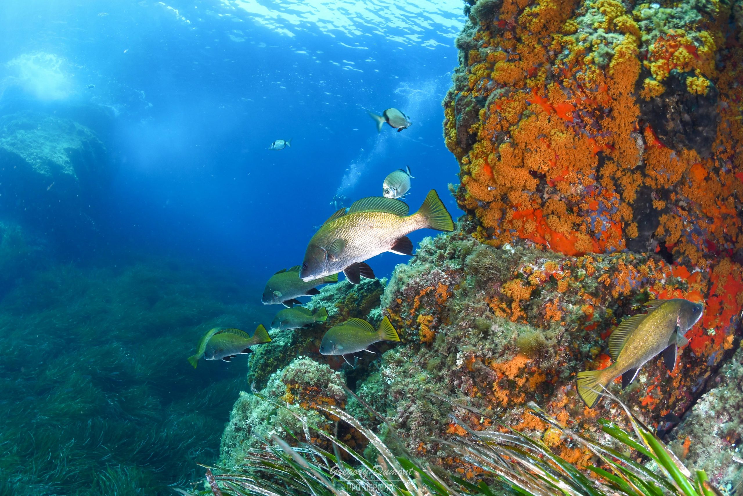 Découvrez la sérénité qui vous attend à Porquerolles !