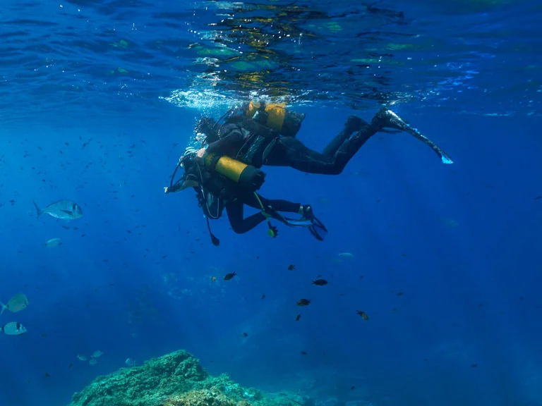 Les trésors cachés de la Méditerranée