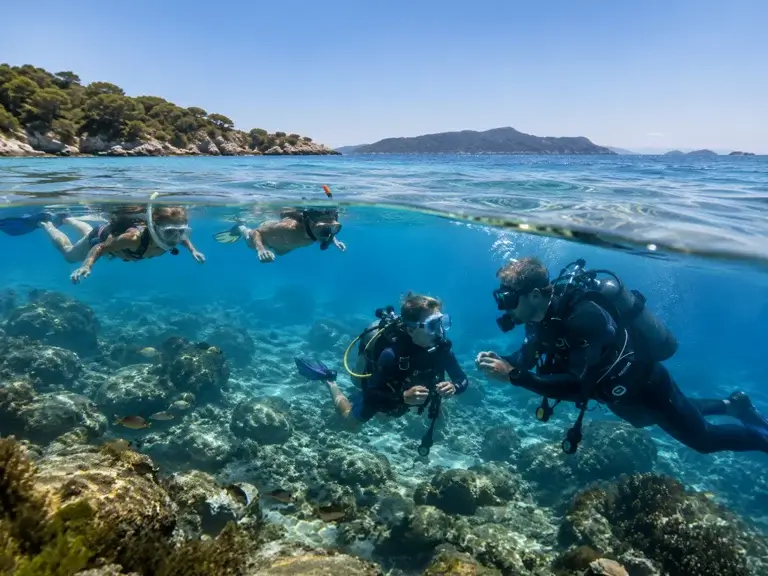Snorkeling ou baptême de plongée : quelle activité choisir ?